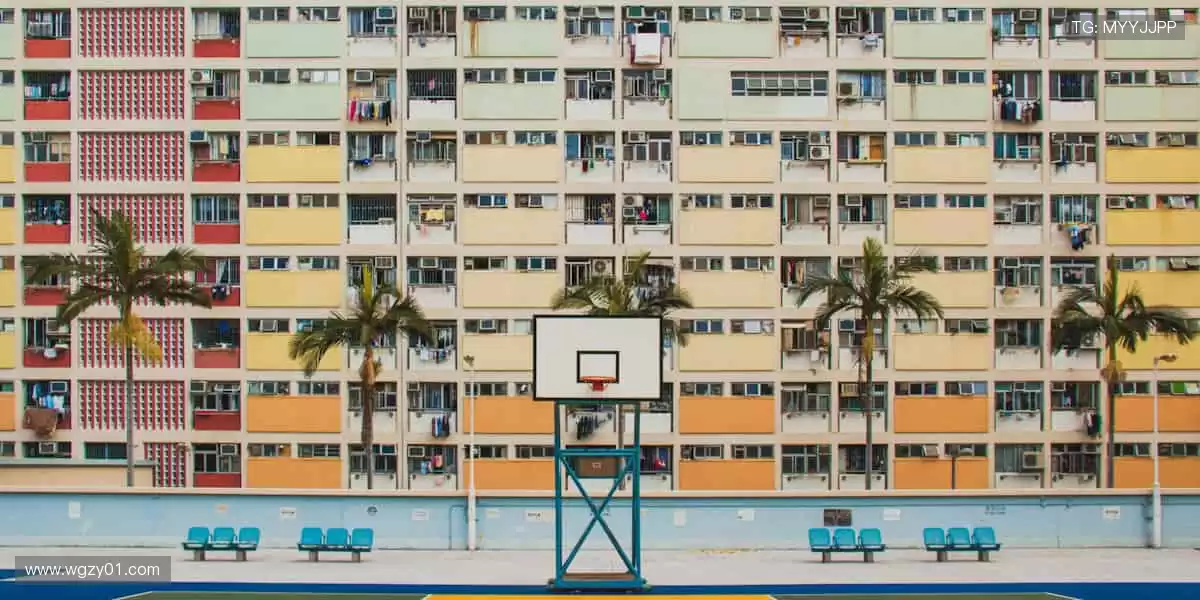 从赛场到屏幕,用热爱连接世界!🌐❤️